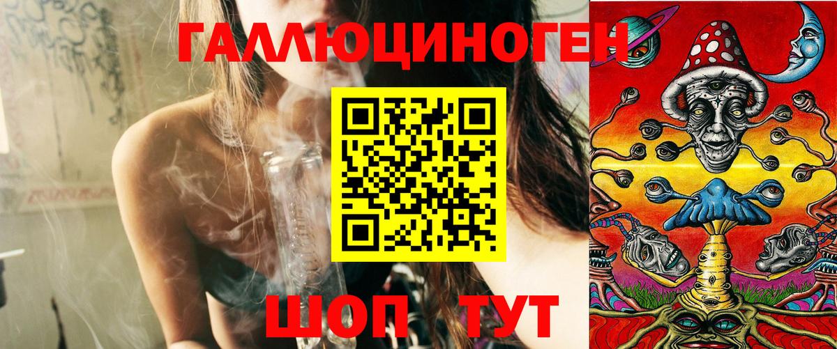 Галлюциногенные грибы Psilocybe Ярцево