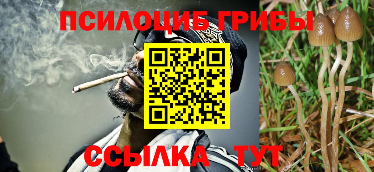 Ярцево  Галлюциногенные грибы Magic Shrooms  Вход с VPN 